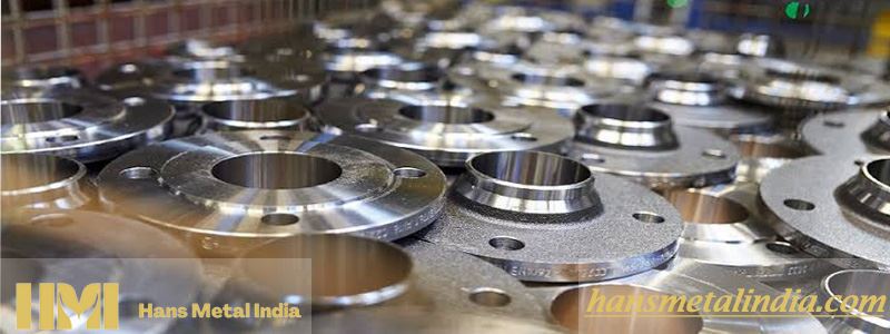 Stainless Flange manufacturer in india