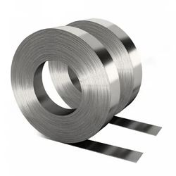  310 Stainless Steel Strip Supplier in India